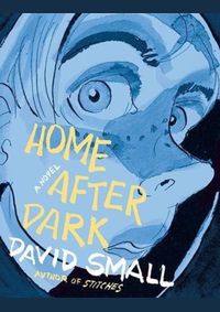 Kniha Home After Dark