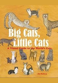 Kniha Big Cats, Little Cats
