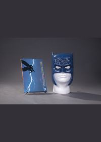 Kniha Batman The Dark Knight Returns Book   Mask Set