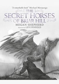 Kniha The Secret Horses of Briar Hill