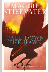 Kniha Call Down the Hawk: The Dreamer Trilogy 1