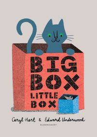 Kniha Big Box Little Box