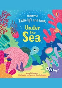 Kniha Little Lift and Look Under the Sea