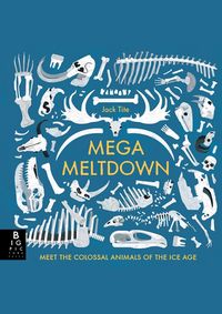 Kniha Mega Meltdown