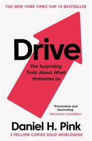 Kniha Drive
