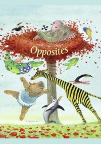Kniha Opposites