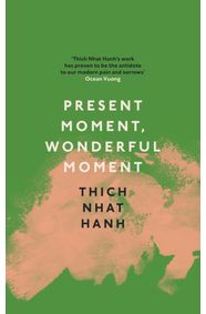 Kniha Present Moment, Wonderful Moment