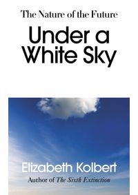 Kniha Under a White Sky