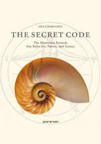 Kniha Secret Code